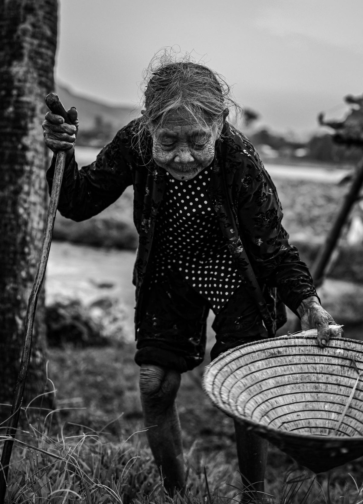 An elderly woman still working, carrying her basket